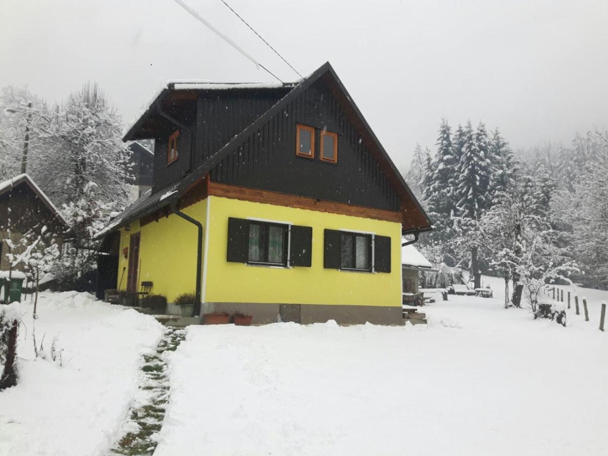 Kuca Za Odmor Forest Dream U Blizini Rijeke Kupe Plesce المظهر الخارجي الصورة