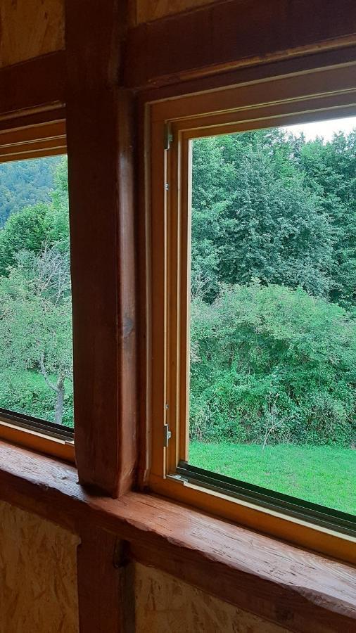 Kuca Za Odmor Forest Dream U Blizini Rijeke Kupe Plesce المظهر الخارجي الصورة