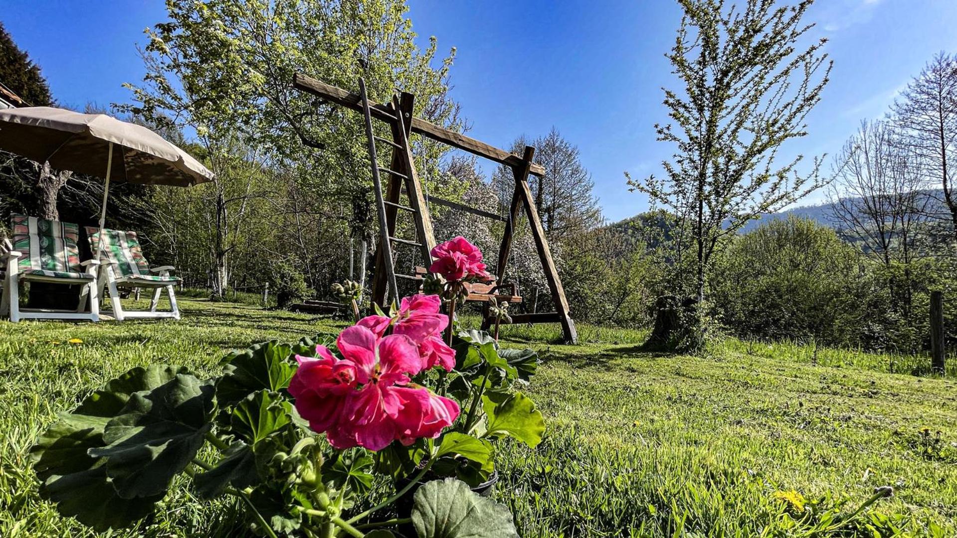 Kuca Za Odmor Forest Dream U Blizini Rijeke Kupe Plesce المظهر الخارجي الصورة