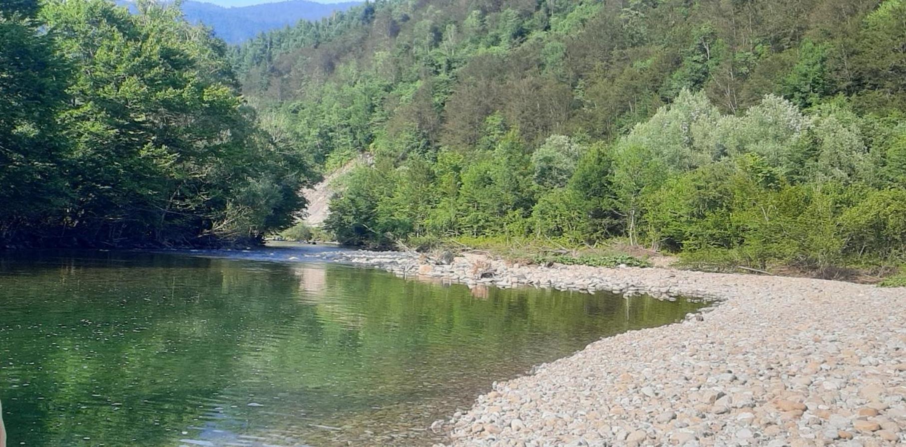 Kuca Za Odmor Forest Dream U Blizini Rijeke Kupe Plesce المظهر الخارجي الصورة